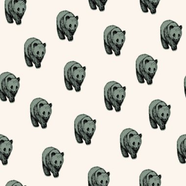 Vektör çizim. Kalem çizilmiş vektör ayı panda. Dikişsiz desen unsuru.