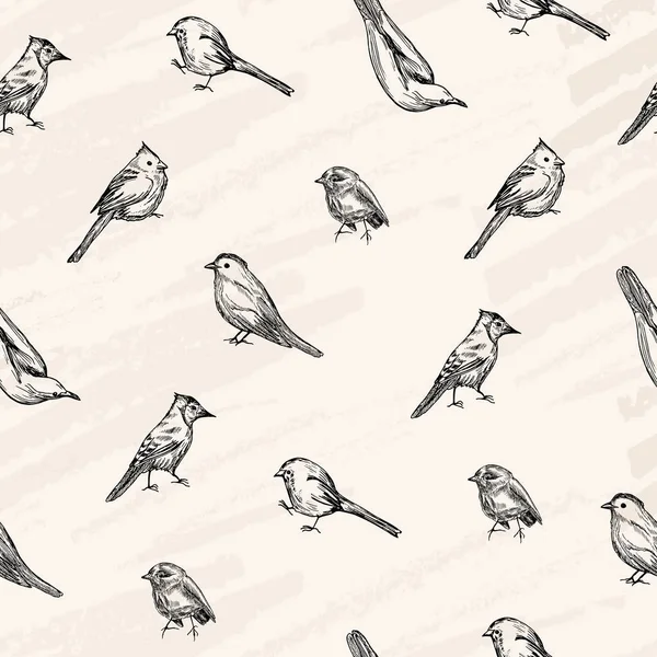 Patrón sin costura vectorial. Bosquejo vectorial, aves dibujadas estilo pluma  . — Vector de stock