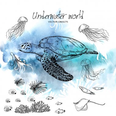 Vektör çizim. Kalem stil vektör kroki. Sualtı dünyasını. Vektör nesneleri kümesi.