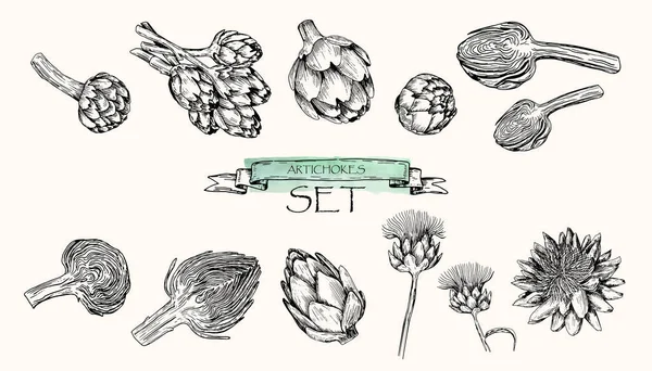 Vektor ilustrasi. Set artichoke bergaya pena . - Stok Vektor