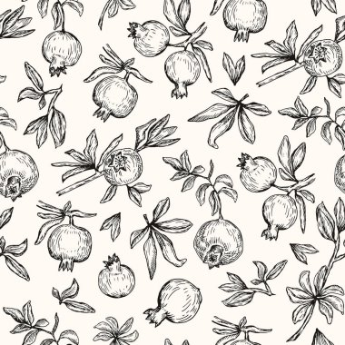 Vektör çizim. Kalem stil vektör seamless modeli. Nar, dalları ve yaprakları.