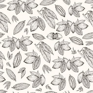 Vektör çizim. Seamless modeli. Çizilmiş kakao çekirdekleri el ve kakao ağacı yapraklar. Kalem stil vektör kroki.