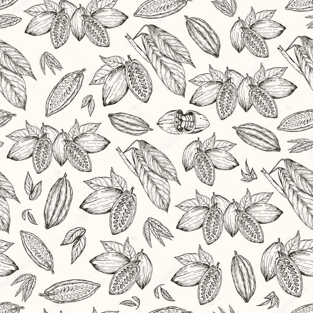 Vector illustration. Seamless pattern. Hand drawn cacao beans and cacao tree leafs. Pen style vector sketch.