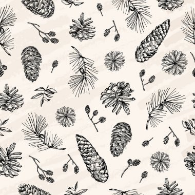 Vektör çizim. Kalem tarzı kroki. Doğa öğeleri, ormanda hazineleri. Yaprakları, abranches, çam kozalağı. Dikişsiz desen unsuru.