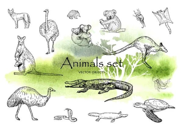Set di animali monocromatici disegnati a mano vettoriale. Oggetti vettoriali stile penna . — Vettoriale Stock