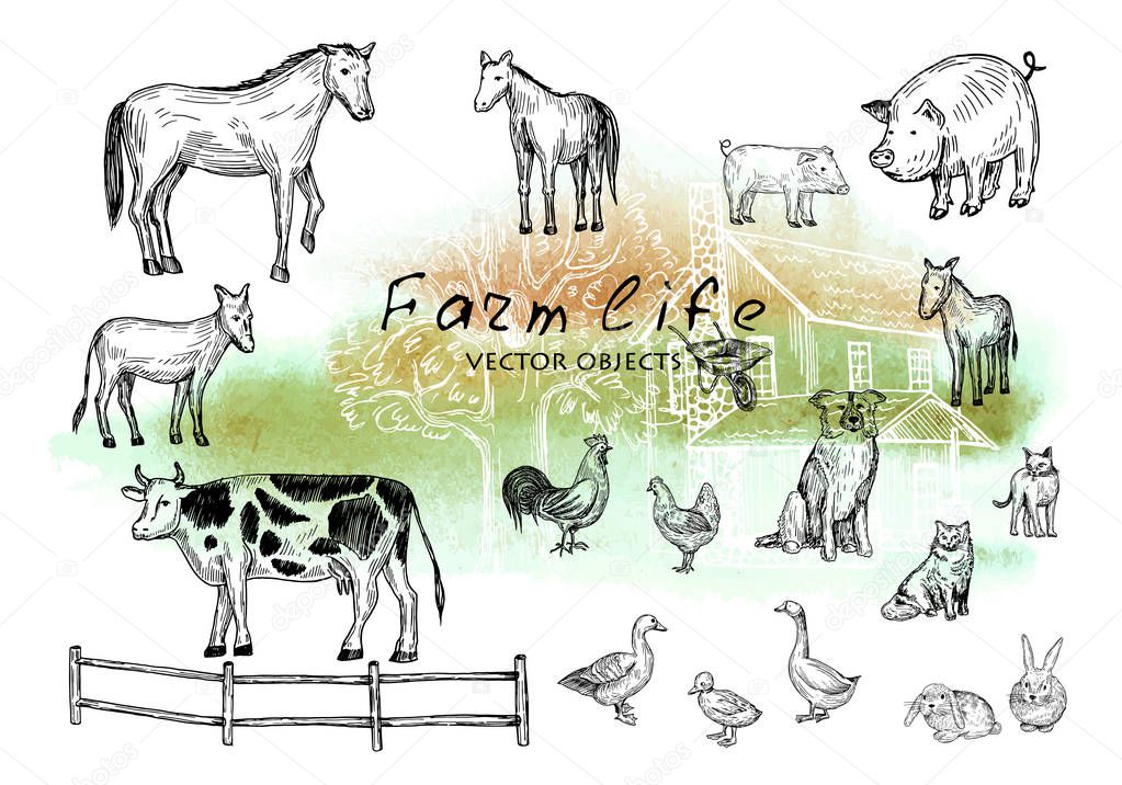 Vector illustration. Pen style drawn farm animals set: cow, horse, donkey, pig, rabbits, duck, hen, cock, dog, cats. Vector objects.