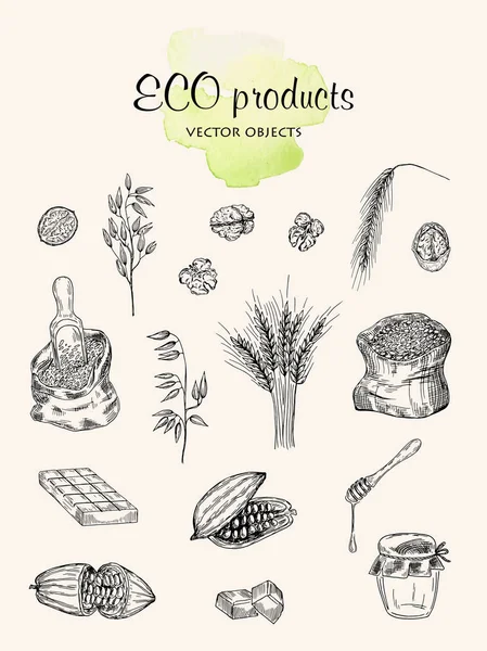 Vector illustration. Eco products. Vector objects set. Pen style drawing. — Stock Vector