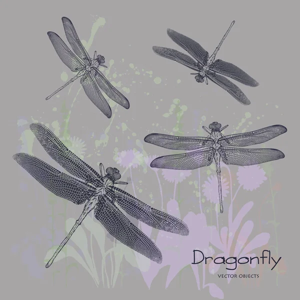 Vector illustration. Dragonflies on flower background. Pen style vector. — Stock Vector