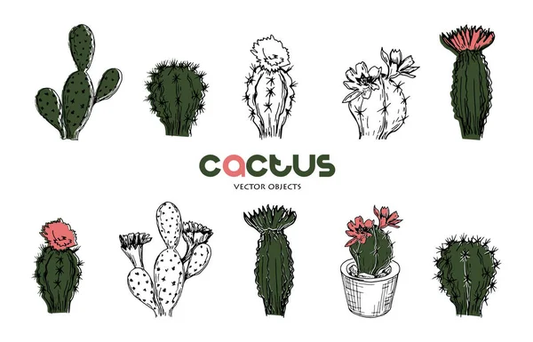 Ilustración vectorial. Dibujo estilo pluma de cactus. Conjunto de objetos vectores . — Vector de stock