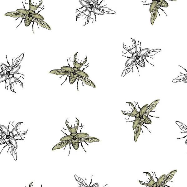 Vektorillustration. Beetle sömlösa mönster. Pen style vektor skiss. — Stock vektor