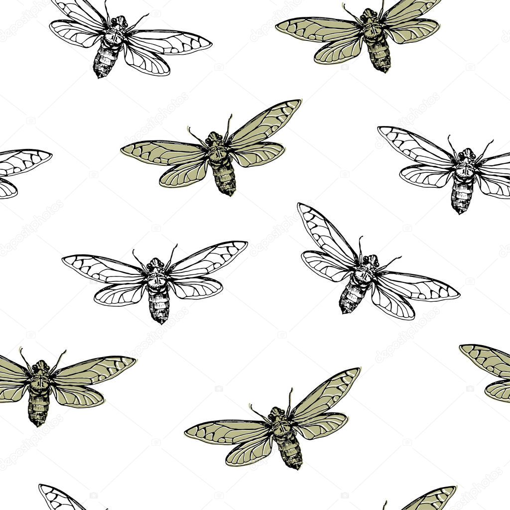 Vector illustration. Cicadas . Vector pen style sketch. Element of seamless pattern. Paper design.