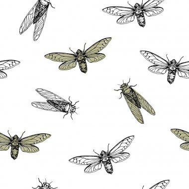 Vektör çizim. Ağustos böcekleri. Vektör kalem tarzı kroki. Dikişsiz desen unsuru. Kağıt tasarımı.