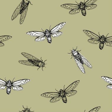 Vector illustration. Cicadas . Vector pen style sketch. Element of seamless pattern. Paper design. clipart