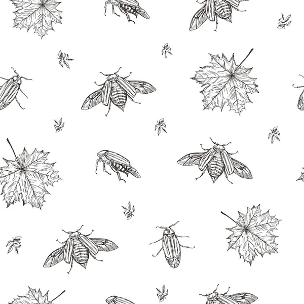 Vector illustration. May bug and leaves seamless pattern. Pen style vector sketch. Paper design element. — Stock Vector