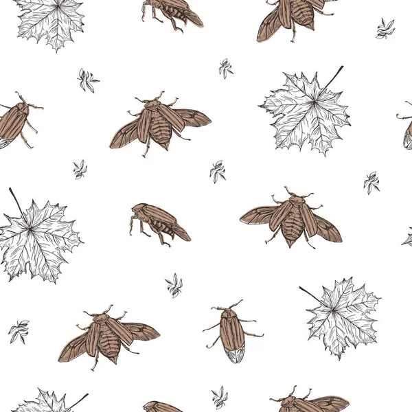 Vector illustration. May bug and leaves seamless pattern. Pen style vector sketch. Paper design element. — Stock Vector