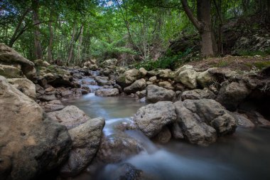 tropikal yağmur ormanlarında dağ dere