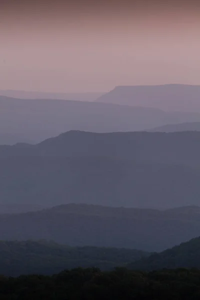 Árvores, no seu caminho, nevoeiro, montanhas, manhã enevoada, nevoeiro matinal, imagens de alta resolução — Fotografia de Stock