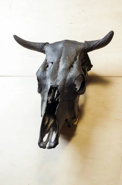 Чорний биків череп — стокове фото
