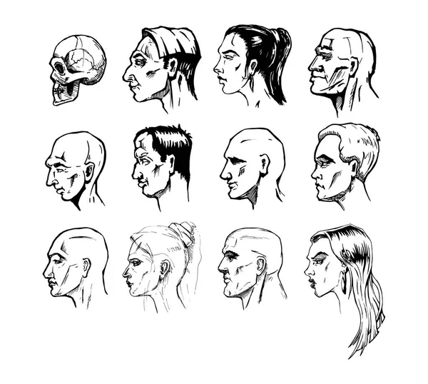 Formen eines männlichen und weiblichen Gesichts — Stockvektor