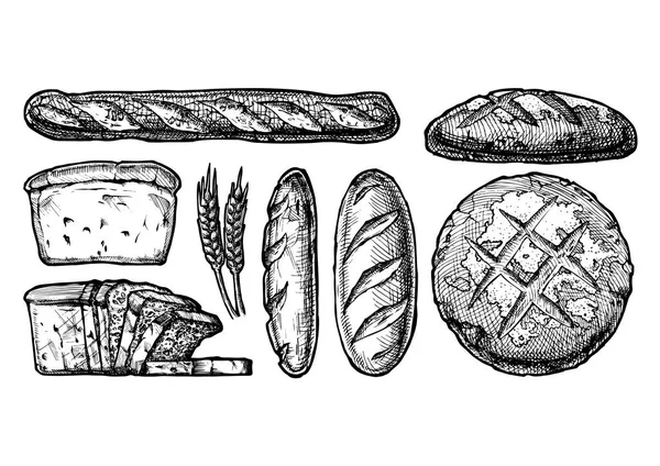 Set of different breads — Stock Vector