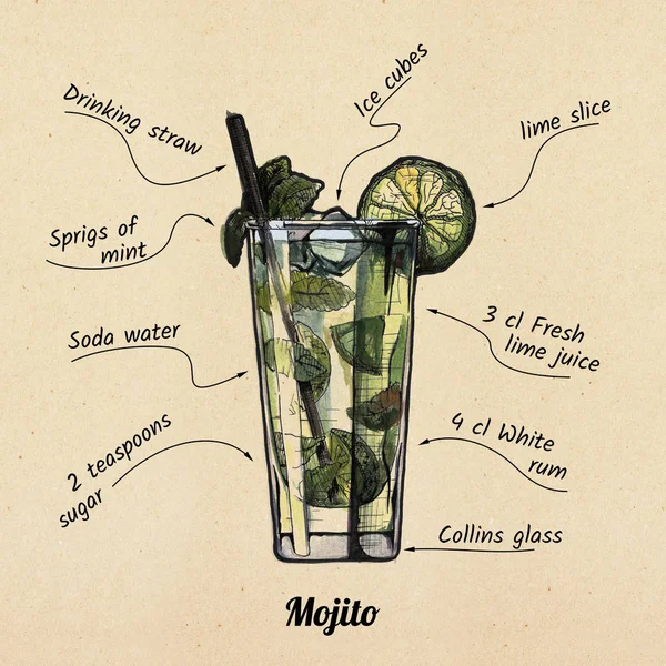 cocktail mojito and its ingredients