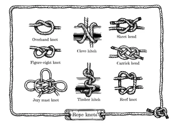不同的绳子结 — 图库矢量图片