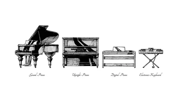 Typy piano — Stockový vektor