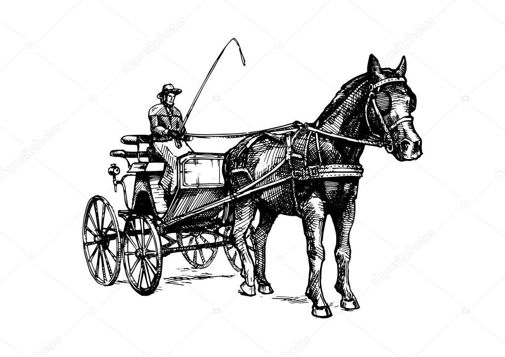 Vector illustration of open carriage