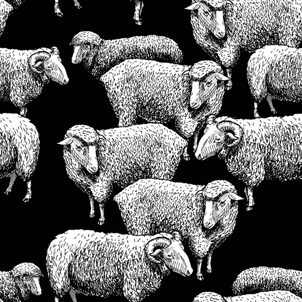 Візерунок з вівця — стоковий вектор