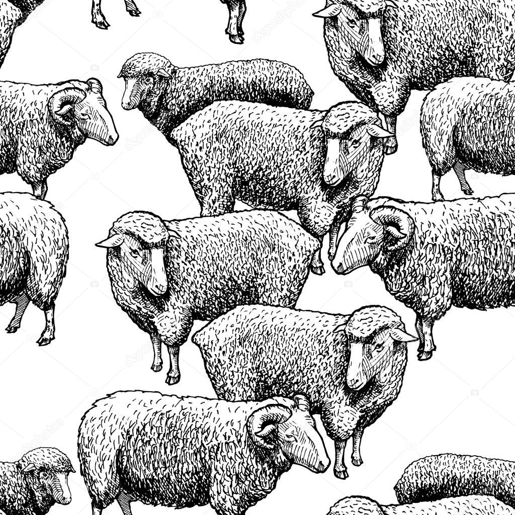 Pattern with sheep