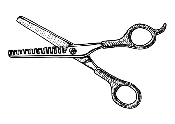 Illustration of Thinning shears — Stock Vector