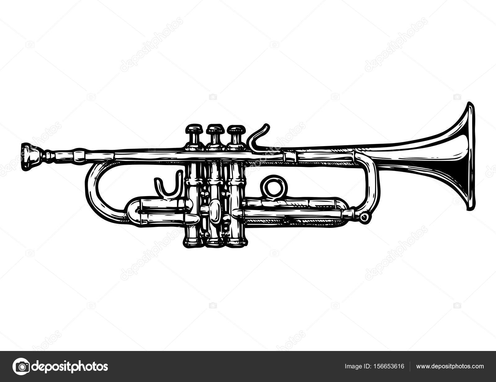 Illustration of trumpet Stock Vector Image by 156653616