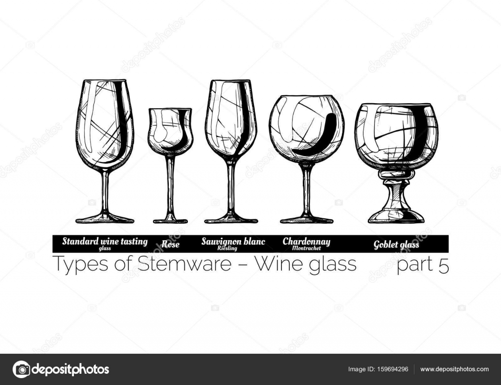 Illustration of Stemware types Stock Vector by 159694296