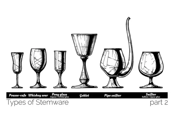 Illustration of Stemware types — Stock Vector