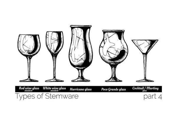 Illustration of Stemware types — Stock Vector