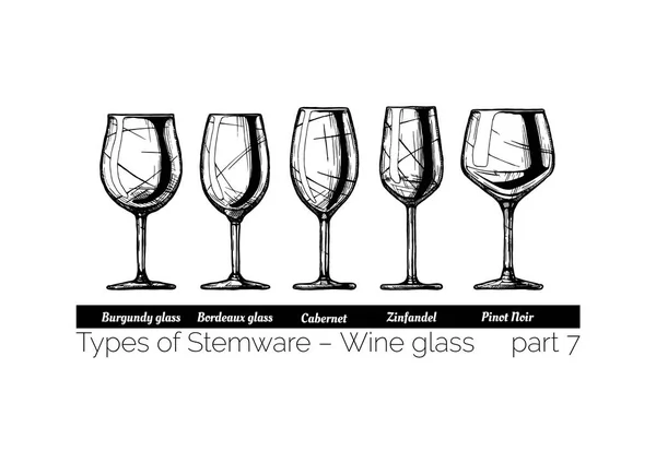 Ilustración de tipos de Stemware — Vector de stock