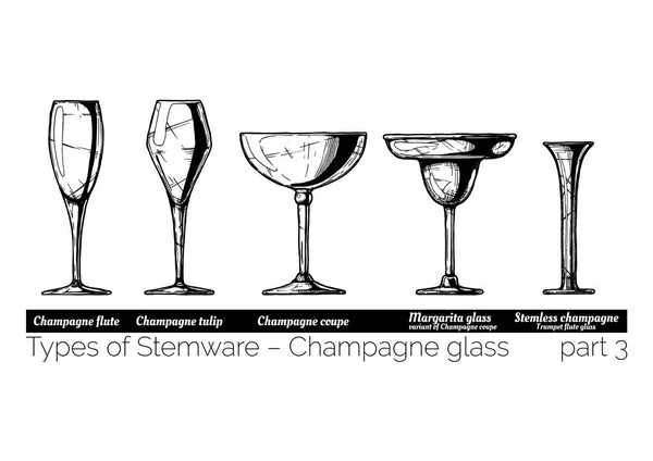 Ilustración de tipos de Stemware — Vector de stock