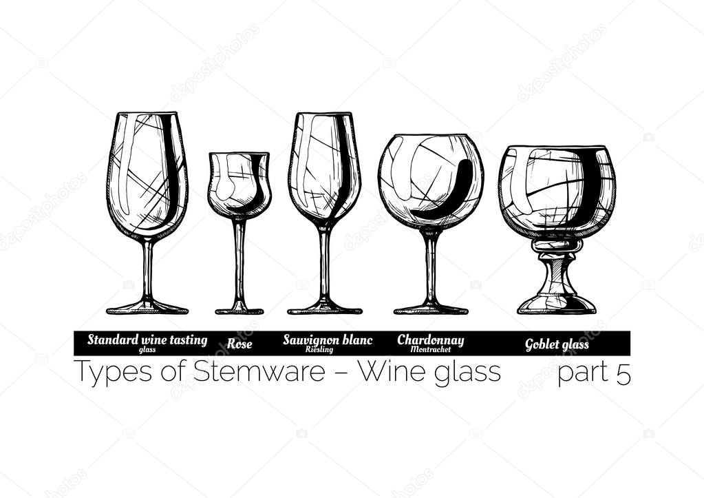 illustration of Stemware types