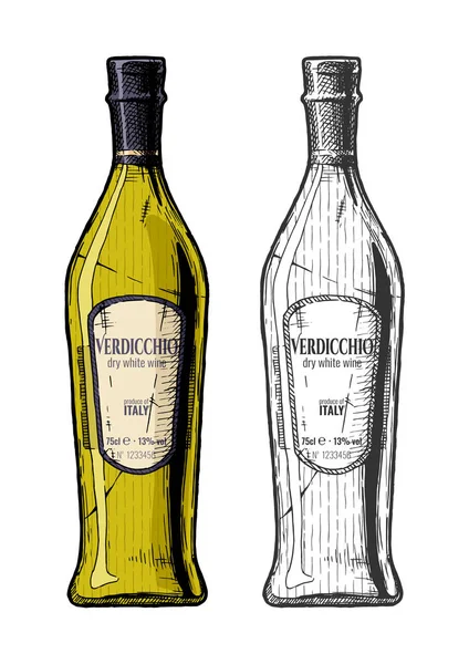 Verdicchio, SEK beyaz şarap — Stok Vektör