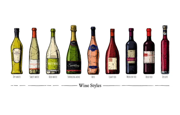 Ilustracja stylów wina — Wektor stockowy