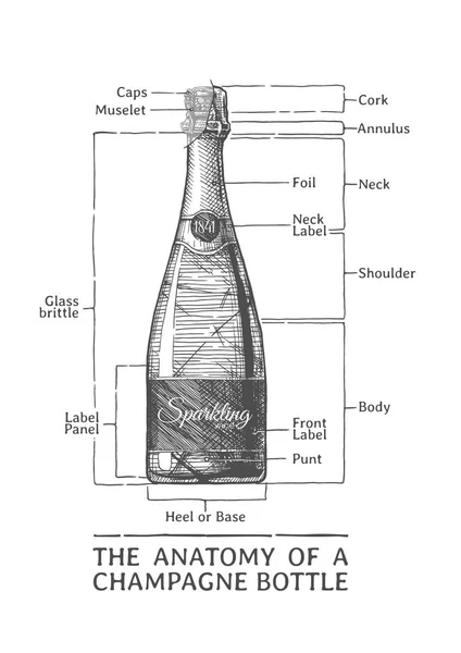 Dibujado a mano Ilustración de botella de champán — Vector de stock