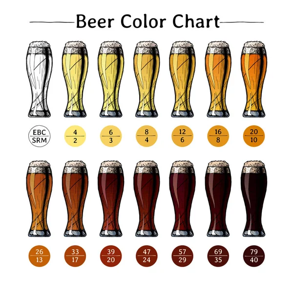 Wykresie kolor piwa — Wektor stockowy