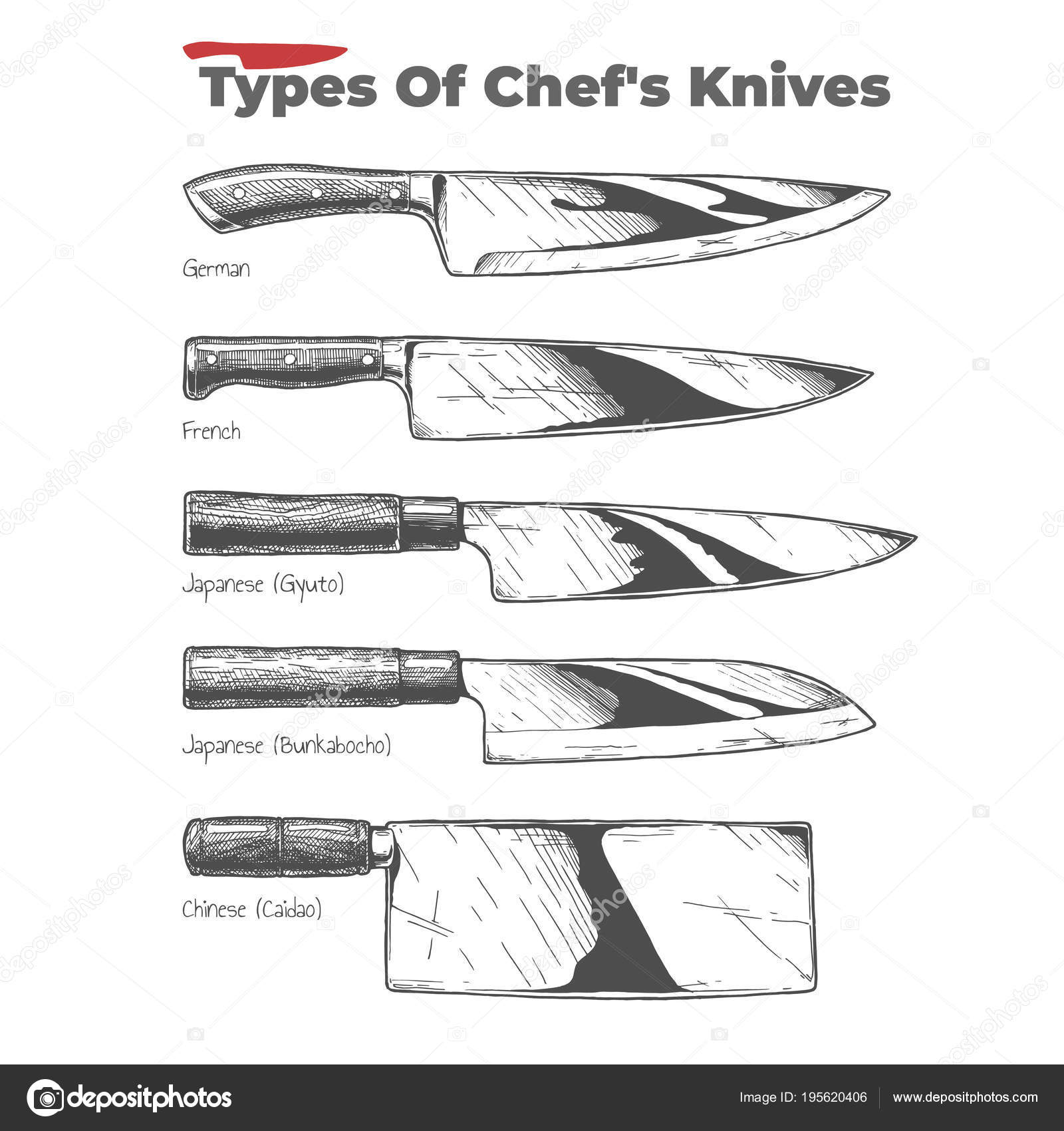 abstraktion træk uld over øjnene kalorie Types of kitchen knives Stock Vector by ©suricoma 195620406