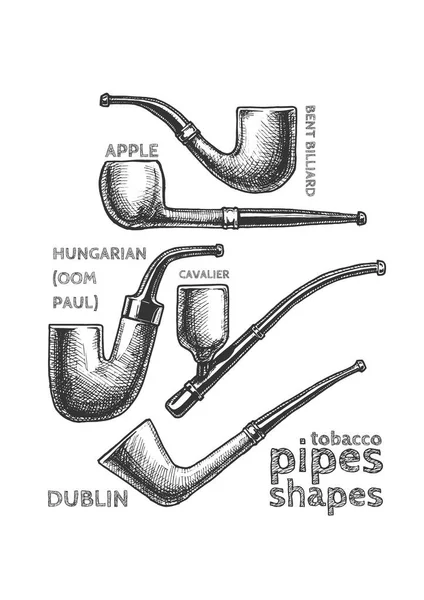 Набор табачных труб на доске — стоковый вектор