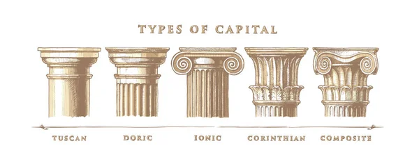 Types of capital. Classical order. — Stock Vector