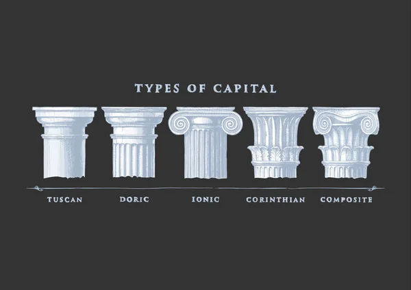 Types of capital. Classical order — Stock Vector