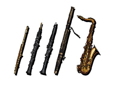 Nefesli müzik aletleri seti