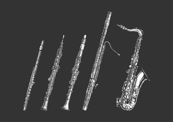 Conjunto de instrumentos musicales Woodwind — Archivo Imágenes Vectoriales