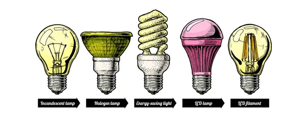 Evolution uppsättning glödlampa — Stock vektor