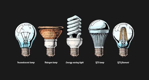 Evolution Set von Glühbirnen — Stockvektor